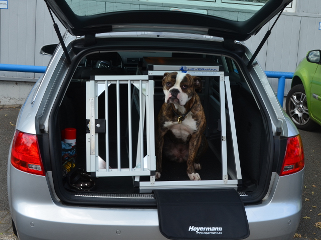 Hundetransportbox für Audi A4 Avant B7