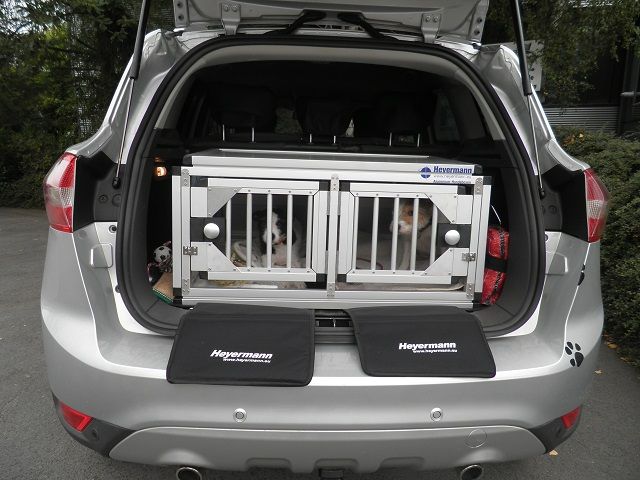 Hundebox Ford Kuga
