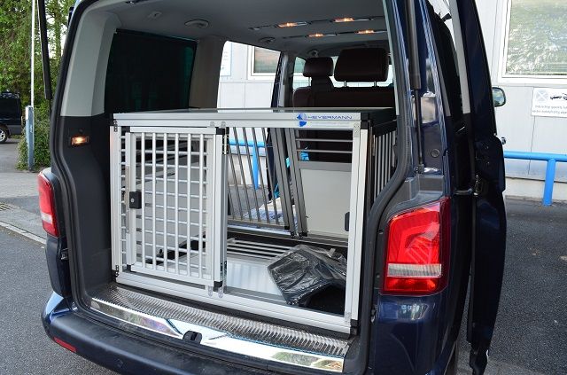 Elegantes Hundebox T6 Innenraum Bilder