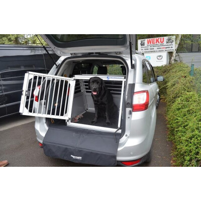Ford Grand C-Max 2. Generation (Bj 2010 - 2019)