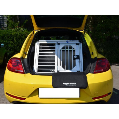 VW Beetle