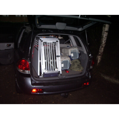 Hyundai Santa Fe Typ SM (Bj 2000 - 2006)