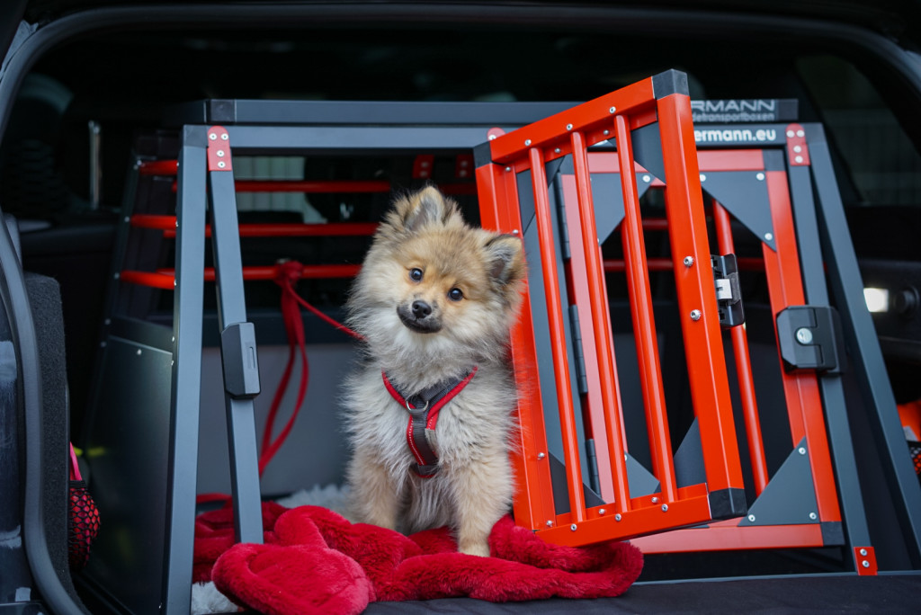 Sicherer Hundetransport im Auto mit stabiler Aluminium Hundebox
