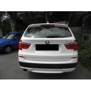 Hundebox/ Einzelbox für BMW X3 F25 (Sonderbau 17)