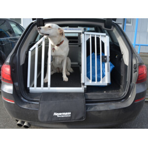 Hundebox/ Einzelbox für BMW 5er Touring F11 (Sonderbau 49)