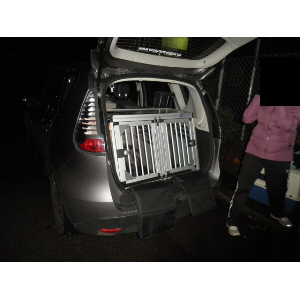 Hundebox/ Doppelbox für Renault Scenic Typ JZ (Sonderbau 73)