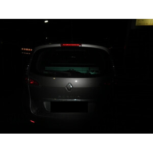 Hundebox/ Doppelbox für Renault Scenic Typ JZ (Sonderbau 73)