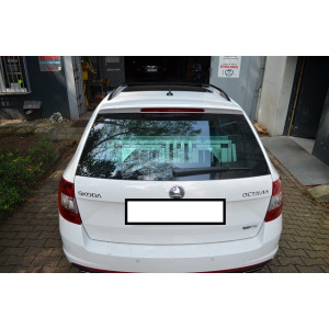 Individuelle Hundetransportbox/ Doppelbox für Skoda Octavia 3 Combi ohne variablen Ladeboden (Individualbau 45)