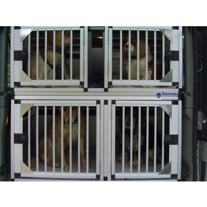 Individuelle Hundetransportbox/ Mehrfach-Hundetransportboxen für Opel Vivaro A (Individualbau 48)