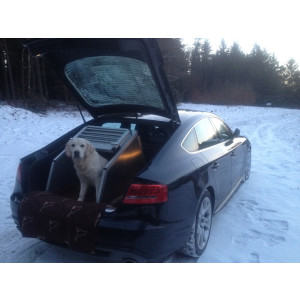 Hundebox/ Einzelbox f&uuml;r Audi A5 Sportback...