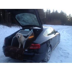 Hundebox/ Einzelbox für Audi A5 Sportback (Sonderbau...