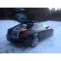Hundebox/ Einzelbox für Audi A5 Sportback (Sonderbau 308)