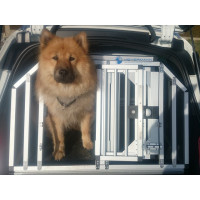 Individuelle Hundebox/ Doppelbox für Opel Insignia Sports Tourer & Counry Tourer (Individualbau 64)