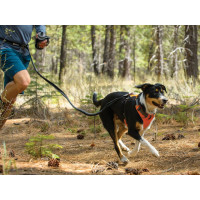 RUFFWEAR Front Range Harness Hundegeschirr, orange (Komfortabel, Hohe Qualität)