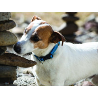 RUFFWEAR Hoopie Collar Hundehalsband, blau (Einfaches An- und Ablegen, Dünn und leicht)
