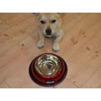 Edelstahl Futter-/Wassernapf für Hunde & Katzen mit Anti-Rusch Gummiring (Spülmaschinenfest, Stylisch)