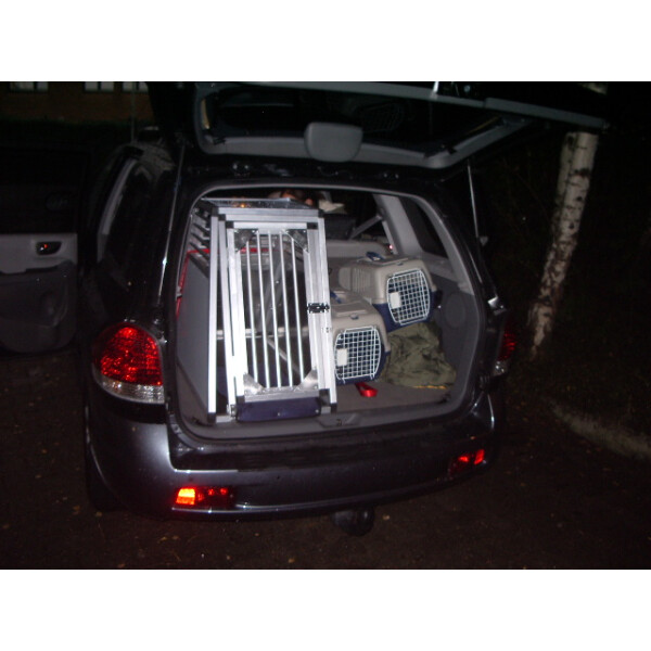 Hundebox/ Einzelbox für Hyundai Santa Fe SM (Sonderbau 14)