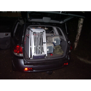 Hundebox/ Einzelbox für Hyundai Santa Fe SM...