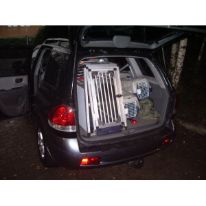 Hundebox/ Einzelbox für Hyundai Santa Fe SM...
