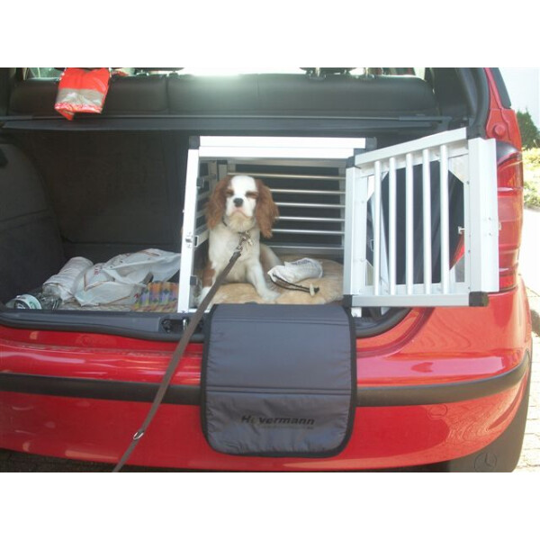 Hundebox/Einzelbox für Mercedes A-Klasse W168 (Sonderbau 19)