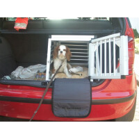 Hundebox/Einzelbox für Mercedes A-Klasse W168 (Sonderbau 19)