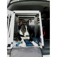 Hundebox/ Einzelbox für Opel Meriva A (Sonderbau 78)