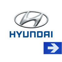 Universal Hundebox Knut