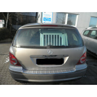 Hundebox/ Einzelbox für Mercedes R-Klasse V 261 (Sonderbau 28)